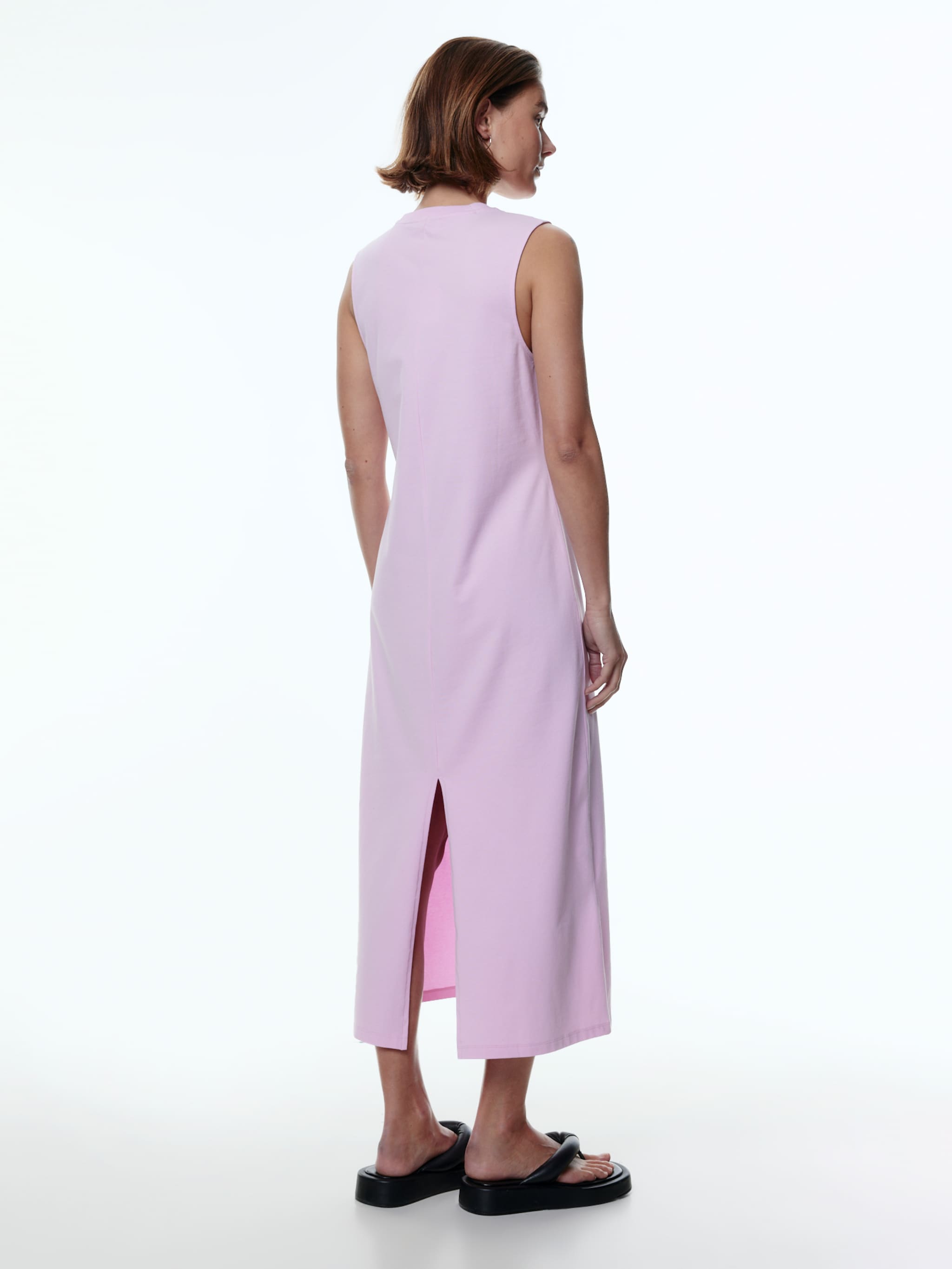 EDITED Robe 'Adelee' rose