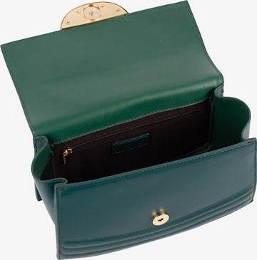 usha BLACK LABEL Handbag in Green