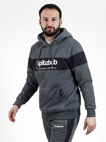 SPITZBUB Sweatshirt 'Ludis' in Grijs: voorkant