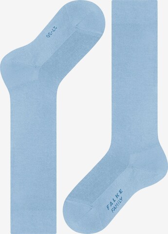 FALKE Socks 'Family' in Blue: front