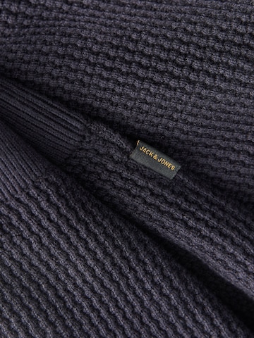 Jack & Jones Plus Trui 'JPRBLUSTANLEY' in Blauw