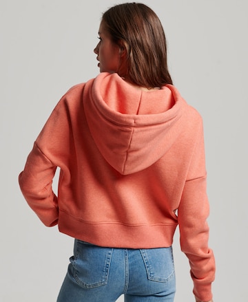 Superdry Sweatshirt in Orange