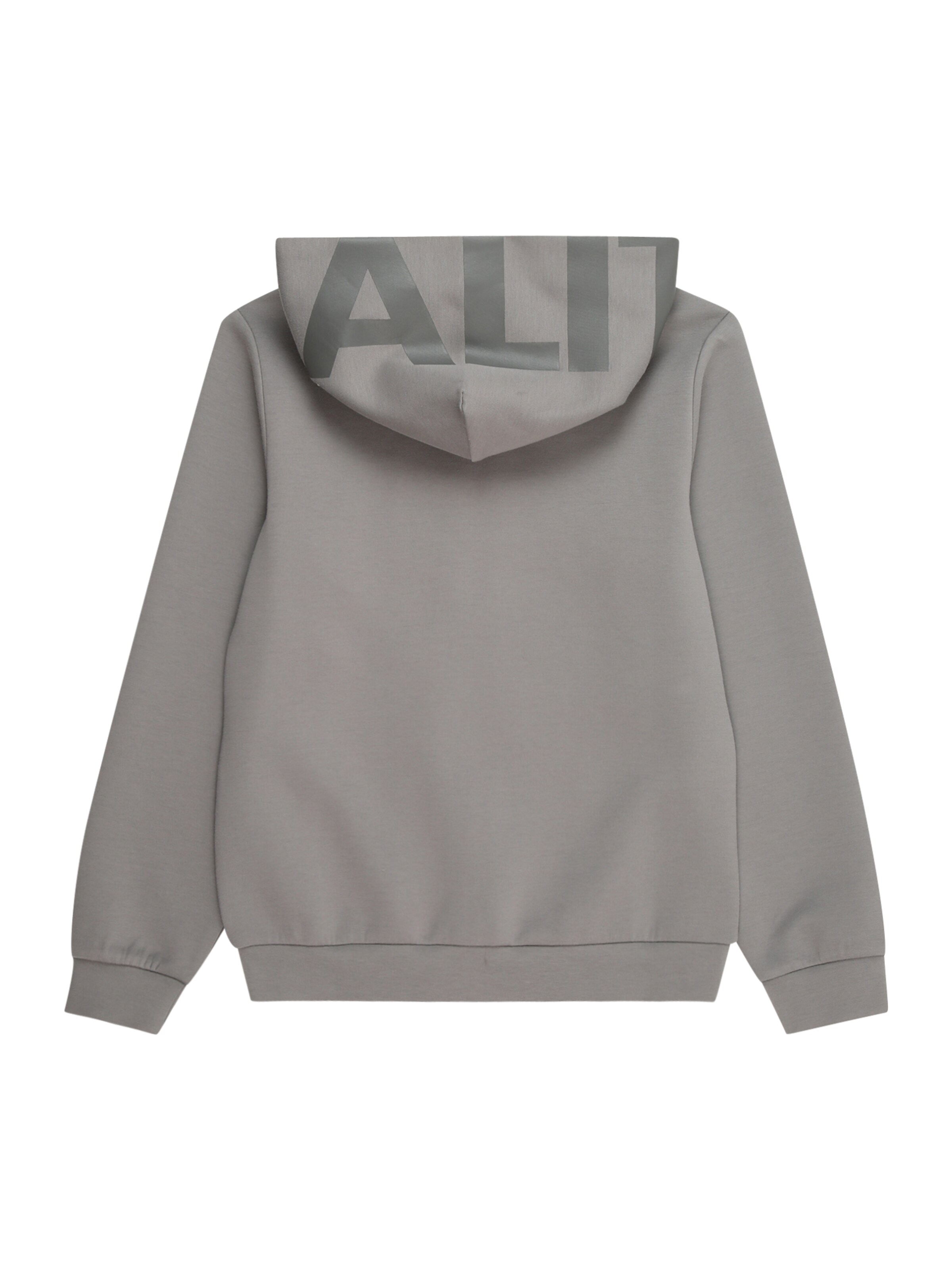 s.Oliver Sweatjacke in Grau