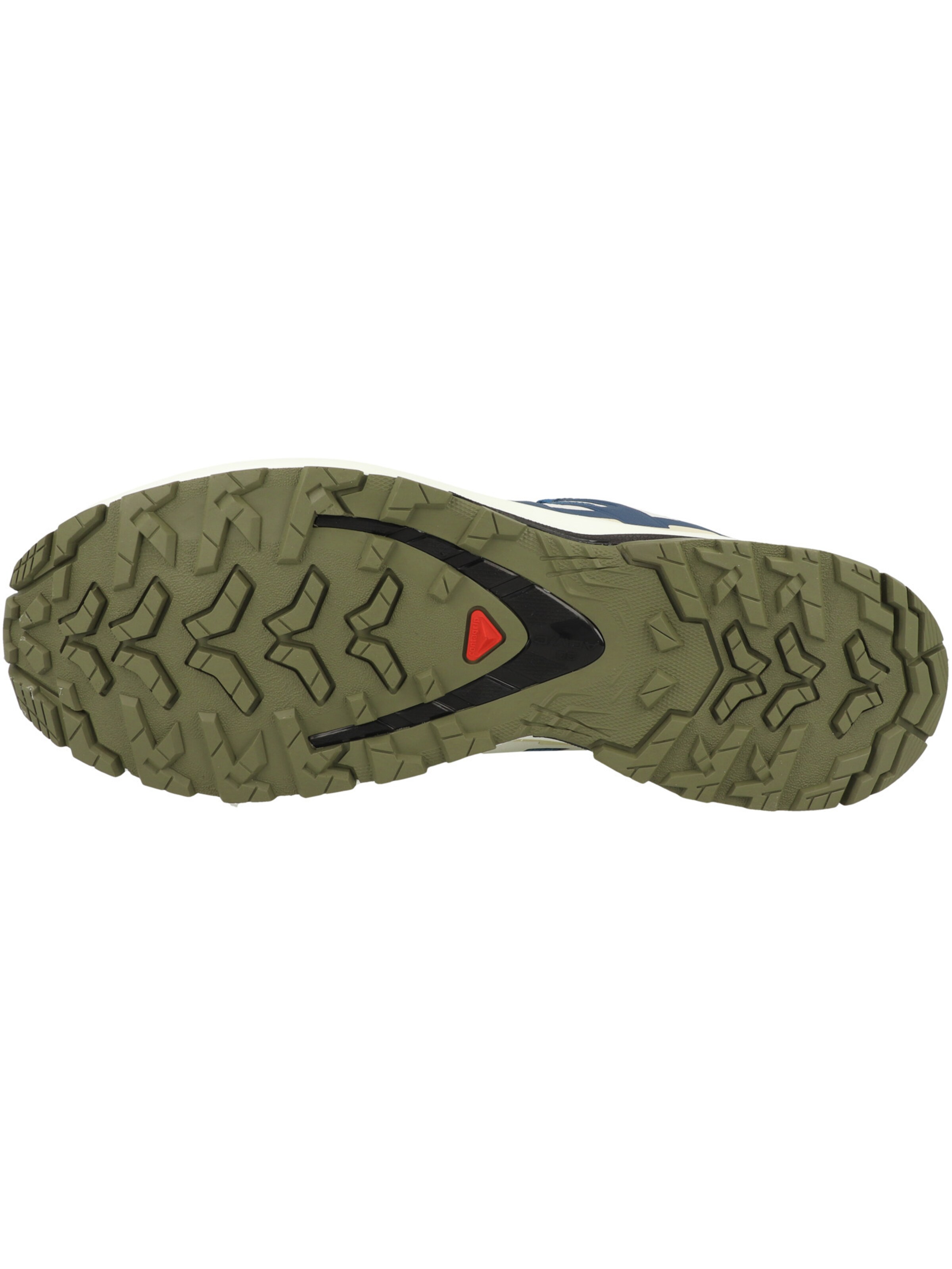 SALOMON Loopschoen 'XA Pro 3D V9' in Blauw