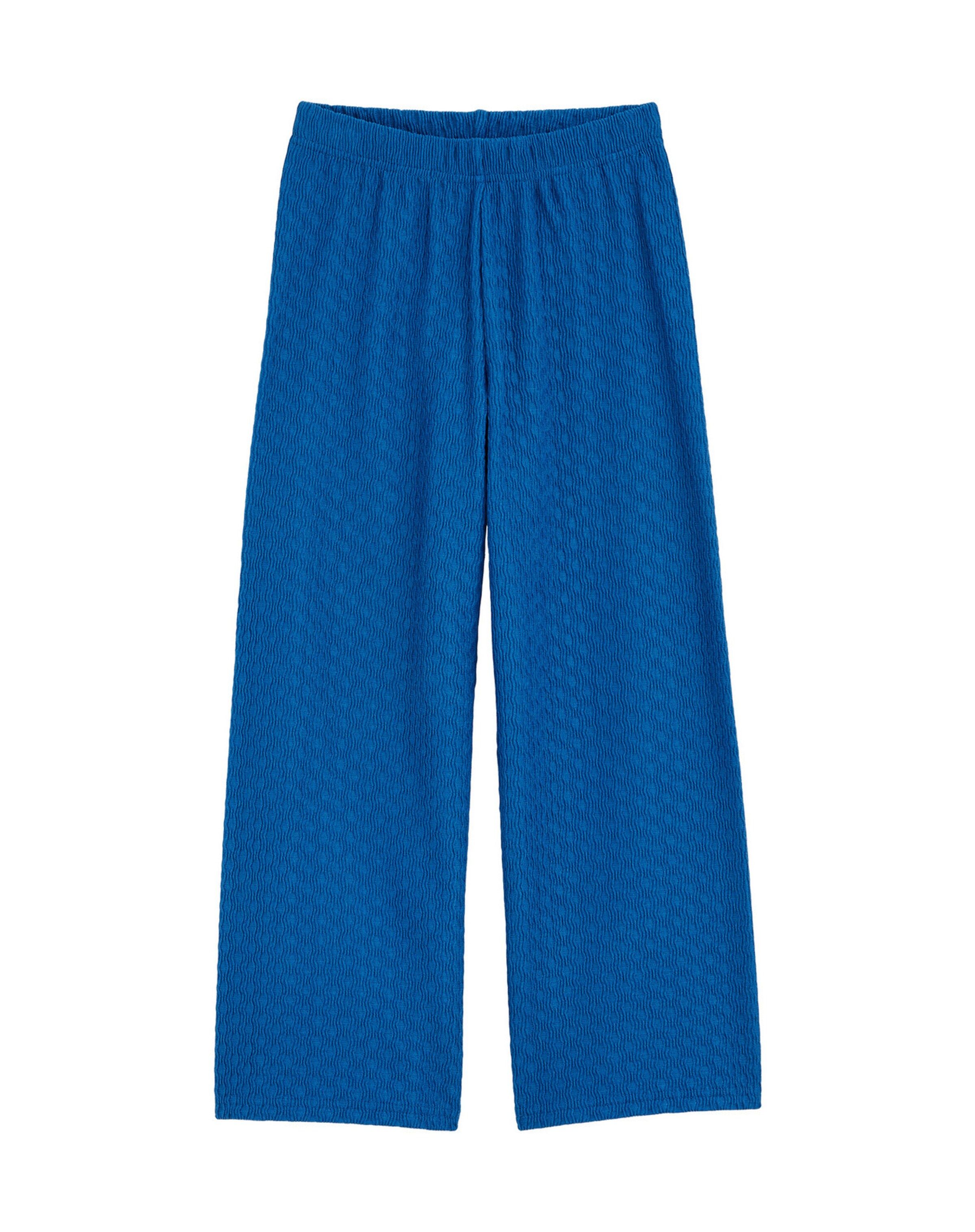 WE Fashion Regular Trousers in Blue: front