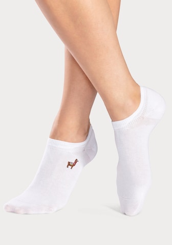 Chaussettes H.I.S en blanc : devant