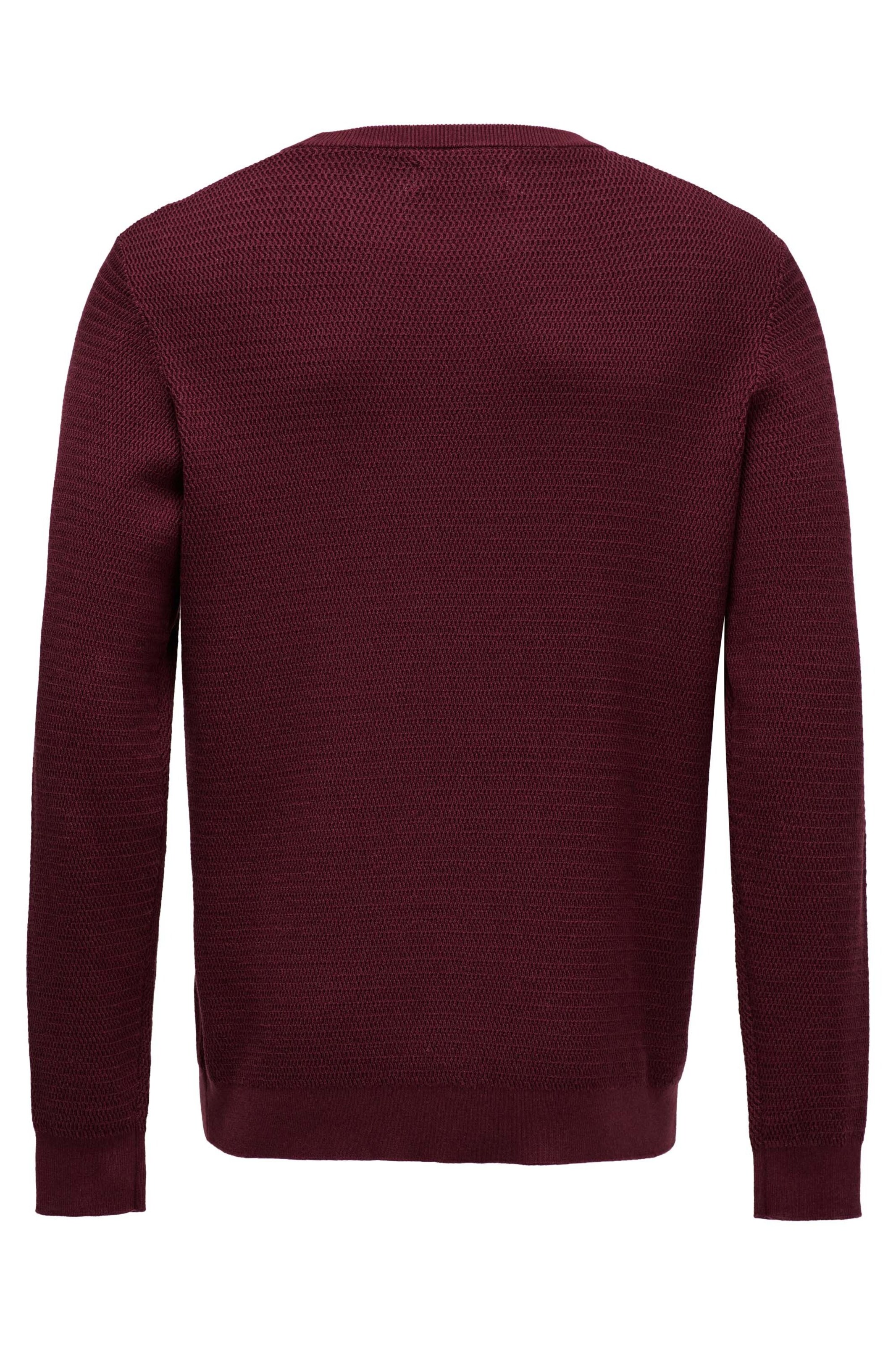 Salsa Jeans Sweater in Red