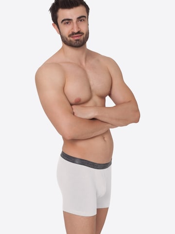 celodoro Boxershorts 'Elastix' in Schwarz