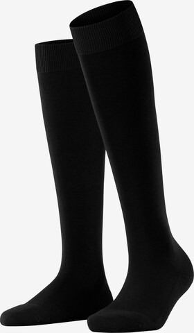 FALKE Knee High Socks 'ClimaWool' in Black: front