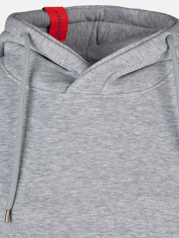 salzhaut Sweatshirt in Grey