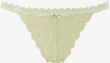 LASCANASlip - zelena boja: prednji dio