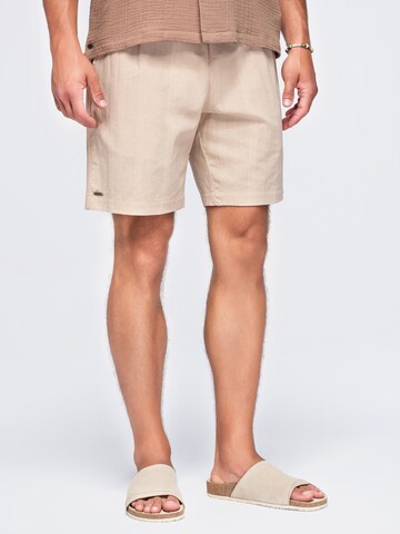 Ombre Regular Pants in Brown