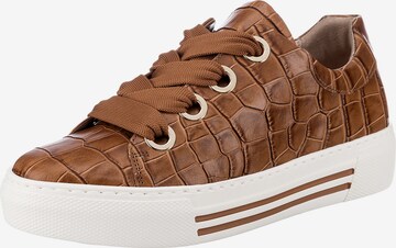 GABOR Sneakers 'Comfort Florenz 66.464' in Brown: front