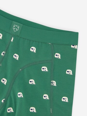 Boxers A-dam en vert