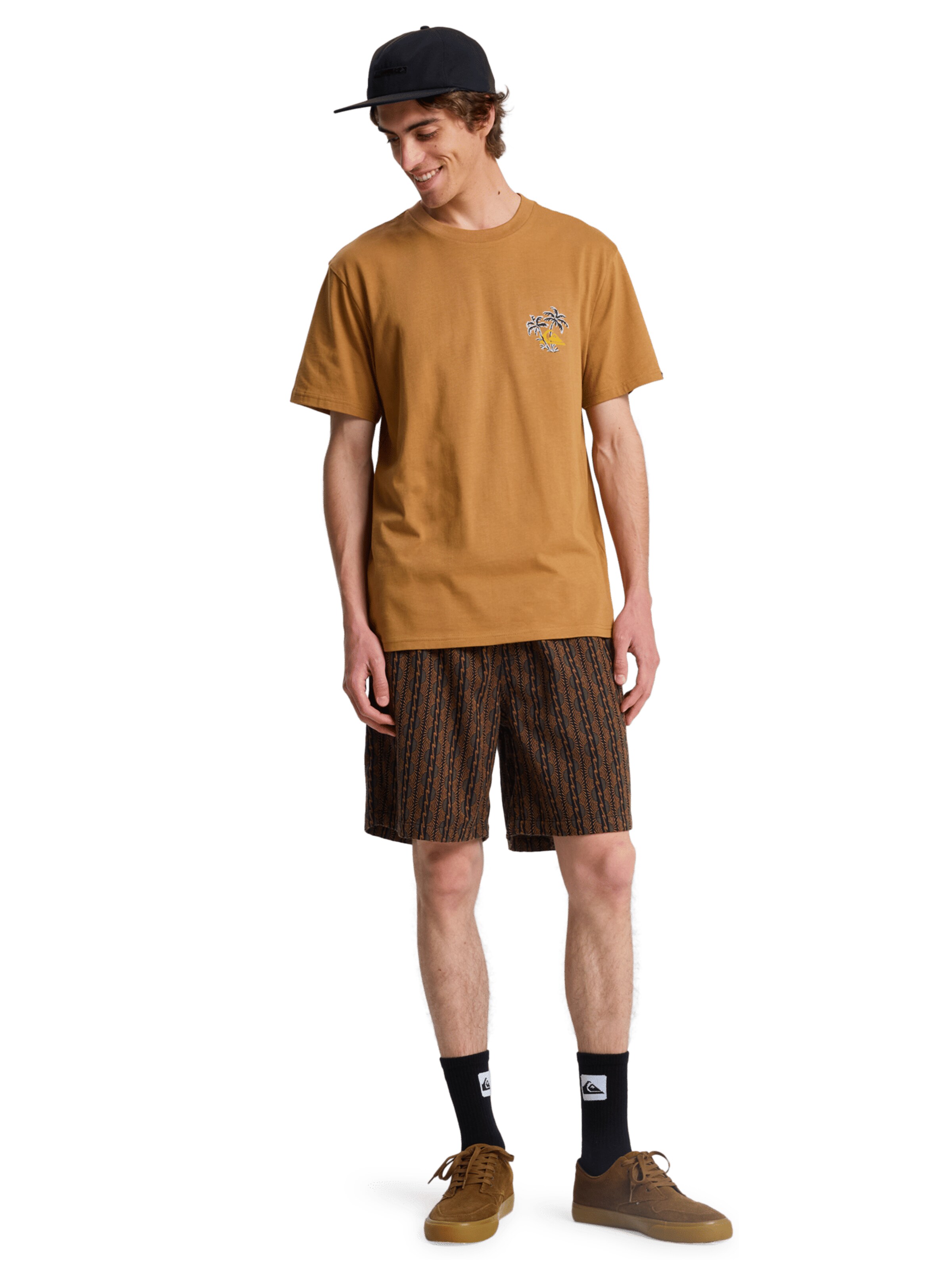 QUIKSILVER Regular Pants in Brown