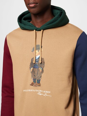 Polo Ralph Lauren Sweatshirt in Mixed colours