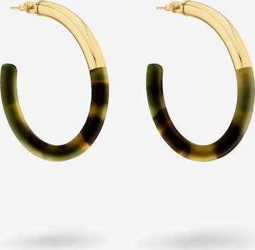 Liebeskind Berlin Ohrringe in Braun: Vorderseite