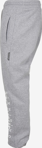 Loosefit Pantaloni di SOUTHPOLE in grigio