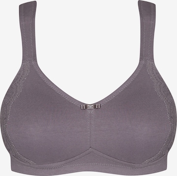 SUSA Minimizer Minimizer 'Nizza' in Lila: Vorderseite