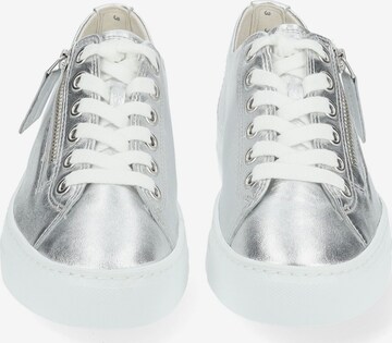 Sneaker bassa di Paul Green in argento