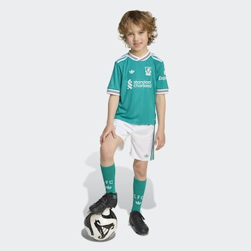 ADIDAS PERFORMANCE Sportanzug 'FC Liverpool 25/26''' in Grün