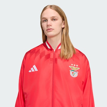 Vestes d’entraînement 'SL Benfica Lissabon Stadion' ADIDAS PERFORMANCE en rouge