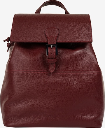 Cluty Backpack in Red: front