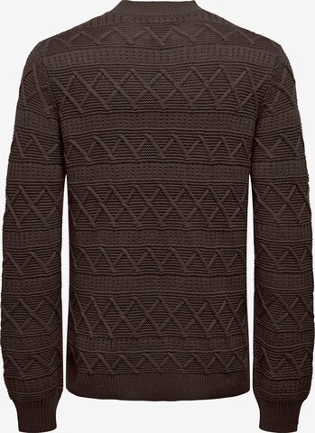 Only & Sons Pullover 'WADE' i brun