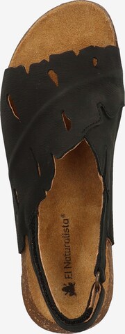 EL NATURALISTA Sandals in Black
