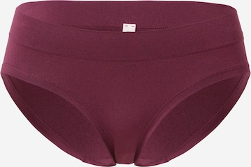 ESPRIT Panty in Red: front