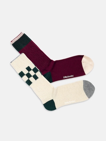 Chaussettes 'Cozy Hansens' DillySocks en mélange de couleurs