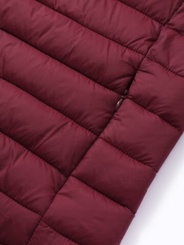 ALLTHEMEN Vest 'Stichlinie' in Red