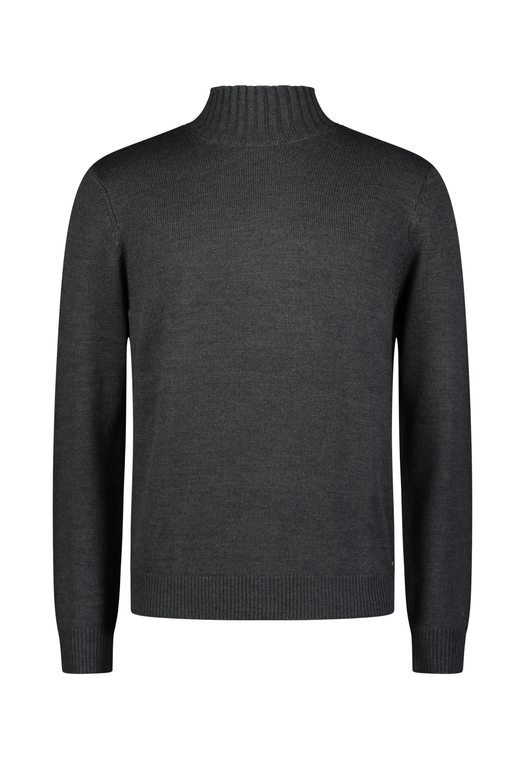 Pull-over ROY ROBSON en gris : devant