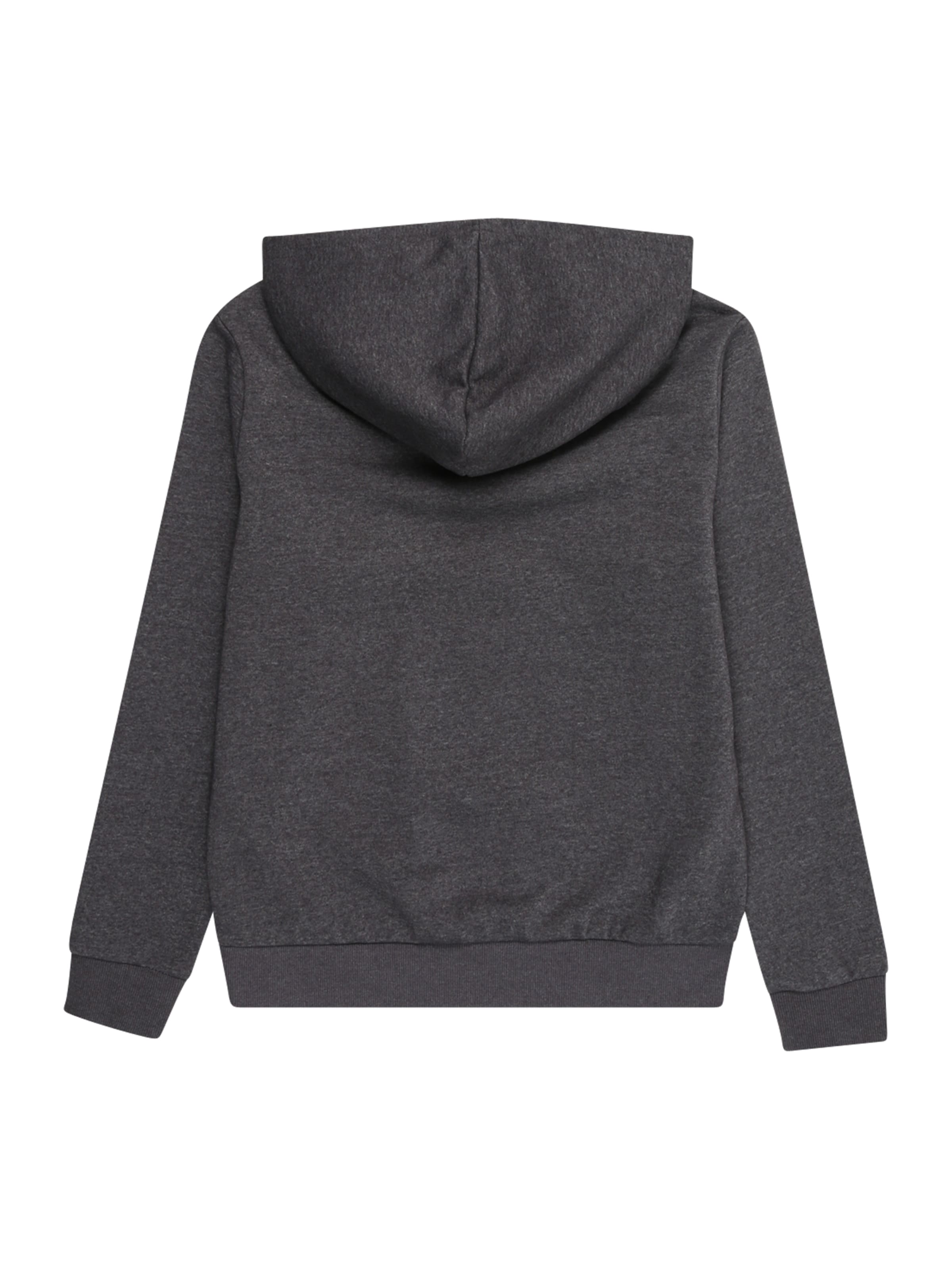 Sweat-shirt 'NLNNIZU' LMTD en gris