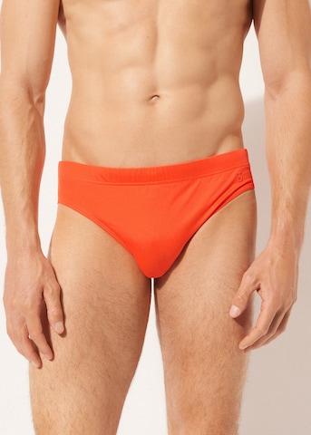 CALZEDONIA Swim Trunks in Orange: front
