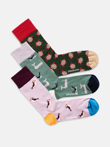 Chaussettes 'Ocean Enthusiasts' DillySocks en mélange de couleurs