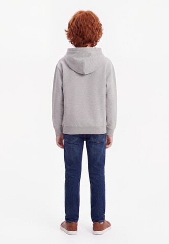 QUIKSILVER Μπλούζα φούτερ σε γκρι