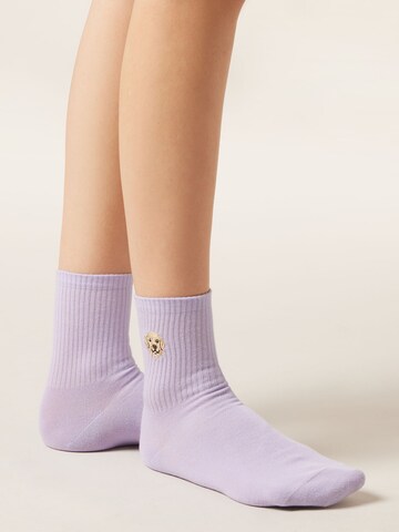 CALZEDONIA Socken 'Dog' in Lila: Vorderseite