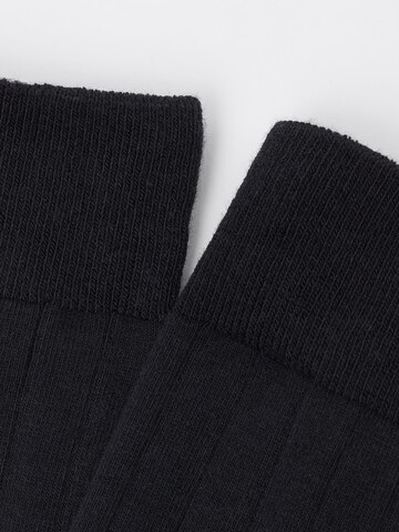 CALZEDONIA Socken in Schwarz