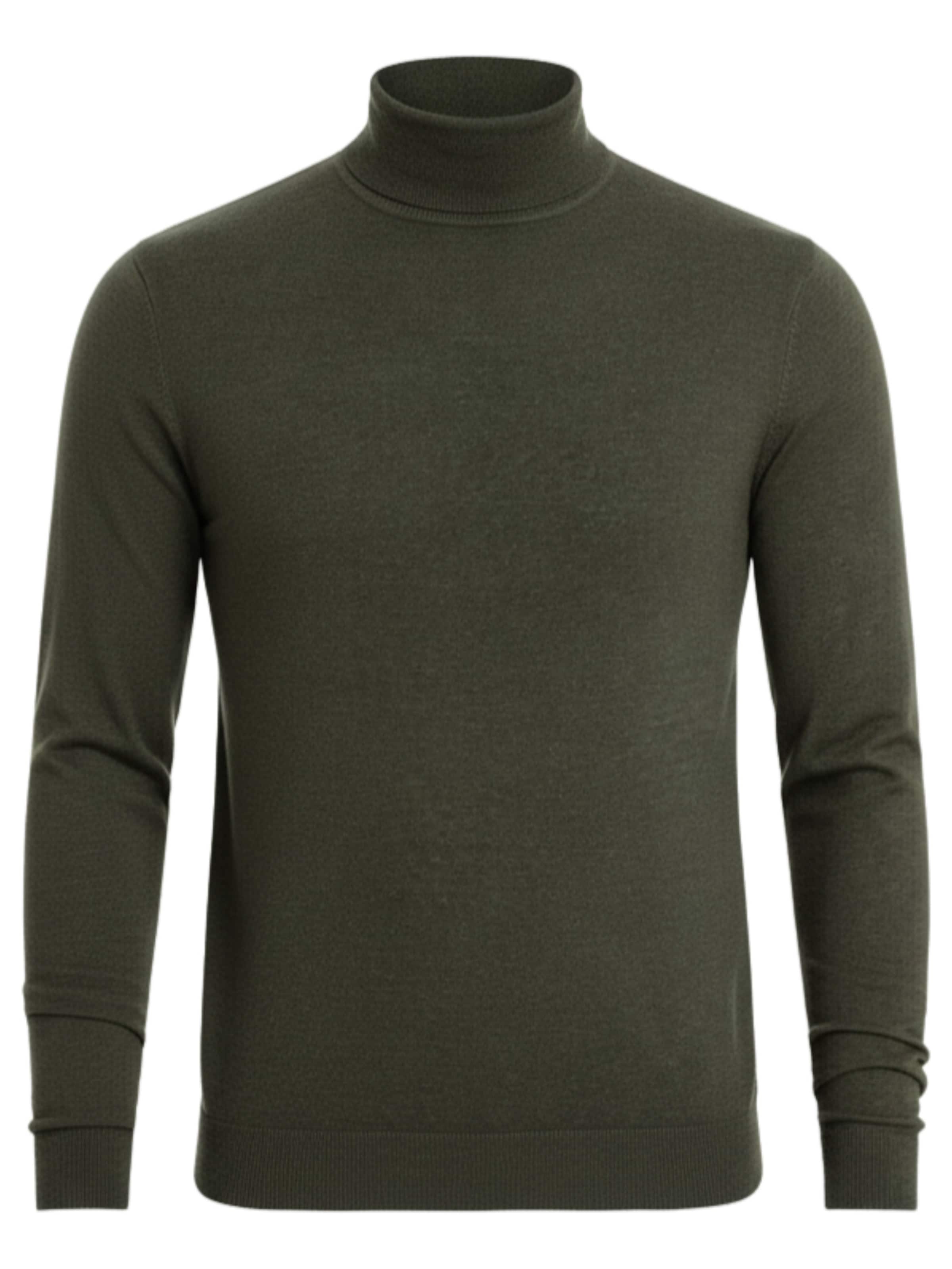 Ombre Sweater 'OM-SWTN-0127' in Olive, Item view