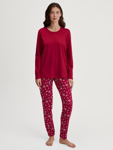 CALIDA Pyjama 'Family & Friends' in Rood