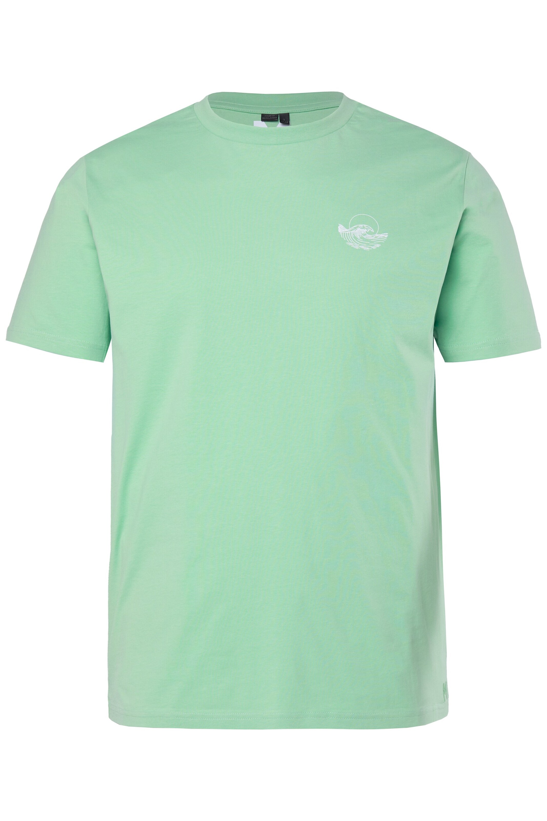 Men Plus Shirt in Green: front