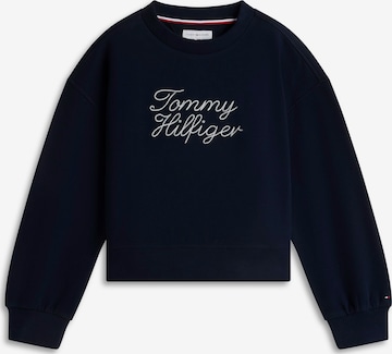 TOMMY HILFIGER Sweatshirt in Blau: Vorderseite