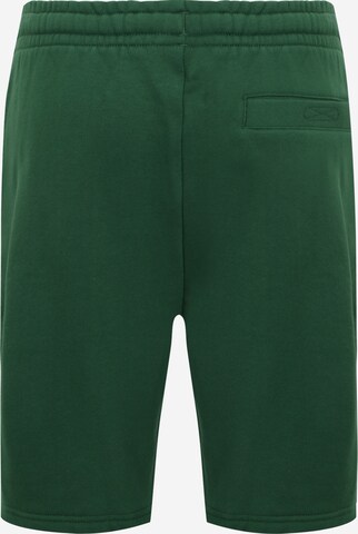 Regular Pantaloni de la LACOSTE pe verde