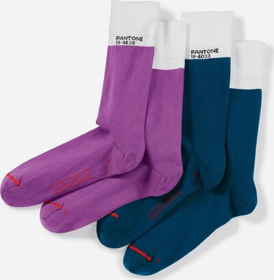 Pantone made by MuseARTa Chaussettes 'Glacier' en bleu foncé / violet / blanc, Vue avec produit