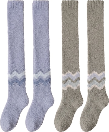 BONVERANO Over the Knee Socks in Blue: front
