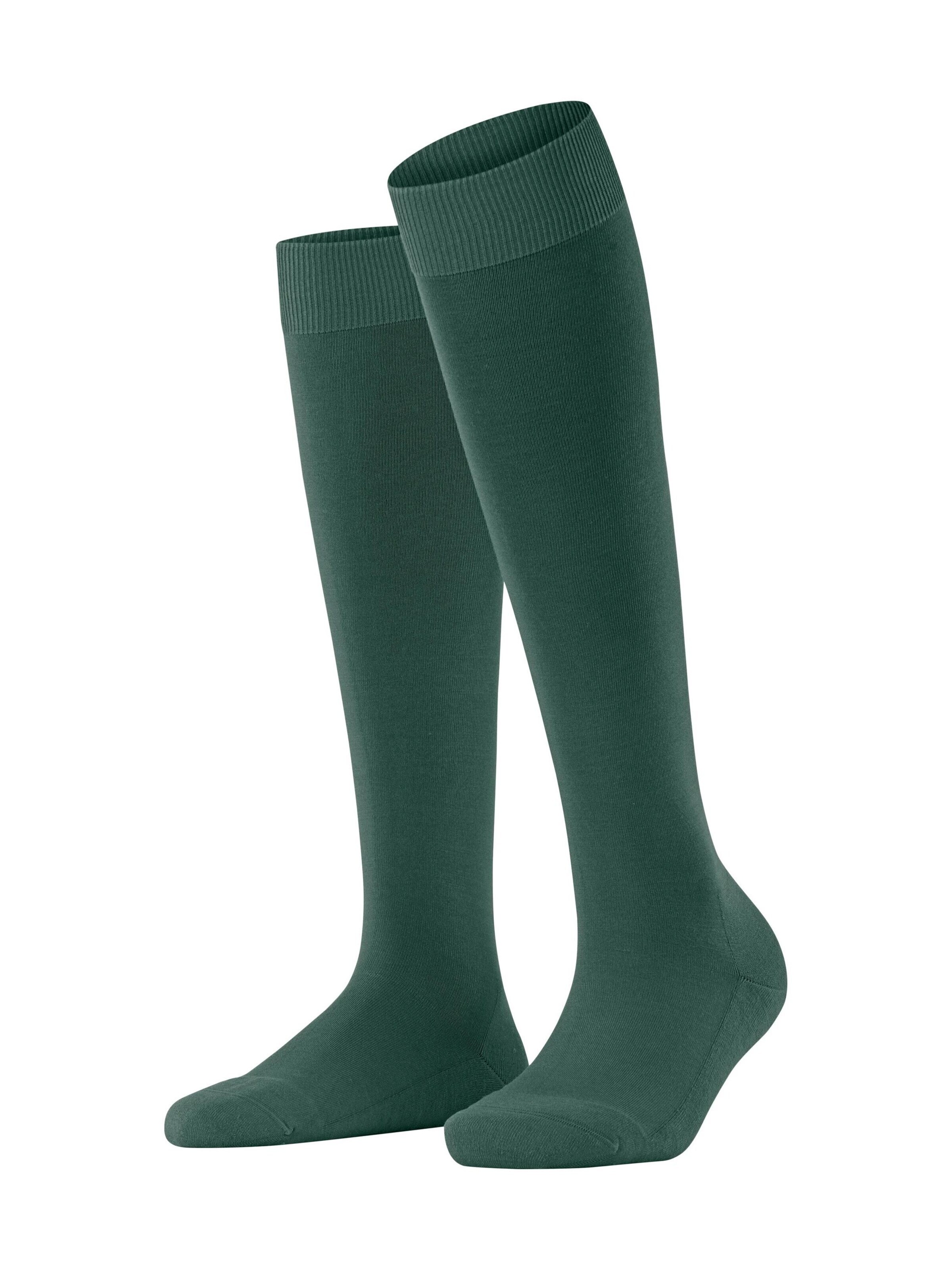 FALKE Kniestrümpfe 'ClimaWool'‌‌‌‌‌‌ in Grün: Vorderseite
