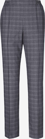 Goldner Trousers in Grey: front