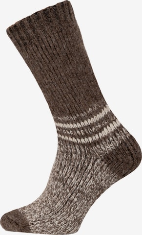 HomeOfSocks Socks 'HOS955' in Brown: front