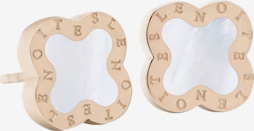 Lenoites Ohrhänger in Pink: Vorderseite